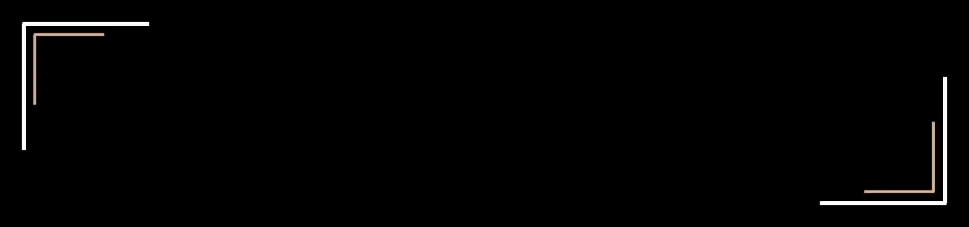 alt-category-banner